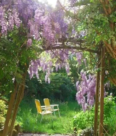 Chez Cecily - Studio *